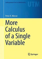 More Calculus Of A Single Variable