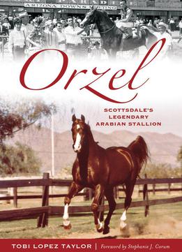 Orzel: Scottsdale's Legendary Arabian Stallion