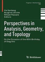 Perspectives In Analysis, Geometry, And Topology