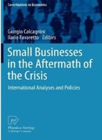 Small Businesses In The Aftermath Of The Crisis