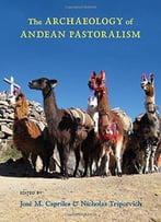 The Archaeology Of Andean Pastoralism