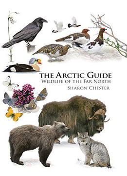 The Arctic Guide: Wildlife Of The Far North
