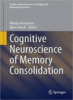 Cognitive Neuroscience Of Memory Consolidation