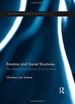 Emotion And Social Structures: The Affective Foundations Of Social Order