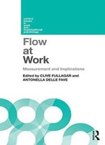 Flow At Work: Measurement And Implications