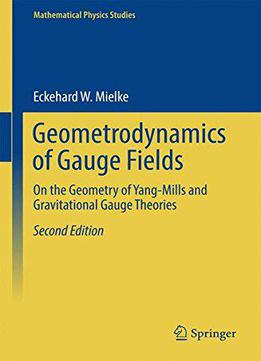 Geometrodynamics Of Gauge Fields: On The Geometry Of Yang-mills And Gravitational Gauge Theories, 2 Edition