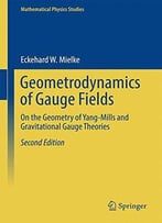 Geometrodynamics Of Gauge Fields: On The Geometry Of Yang-Mills And Gravitational Gauge Theories, 2 Edition