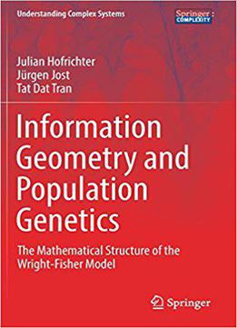 Information Geometry And Population Genetics: The Mathematical Structure Of The Wright-fisher Model