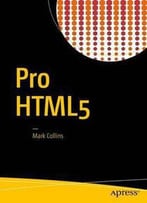 Pro Html5 With Css, Javascript, And Multimedia: Complete Website Development And Best Practices