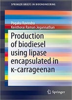 Production Of Biodiesel Using Lipase Encapsulated In Κ-Carrageenan