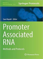 Promoter Associated Rna: Methods And Protocols