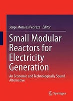 Small Modular Reactors For Electricity Generation: An Economic And Technologically Sound Alternative