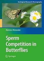 Sperm Competition In Butterflies