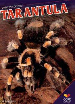 Tarantula (great Predators)