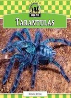 Tarantulas (Checkerboard Animal Library: Unique Pets)