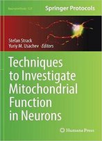 Techniques To Investigate Mitochondrial Function In Neurons