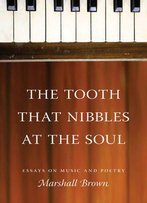 The Tooth That Nibbles At The Soul: Essays On Music And Poetry