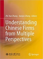 Understanding Chinese Firms From Multiple Perspectives