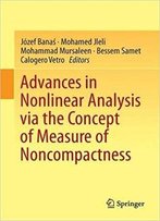 Advances In Nonlinear Analysis Via The Concept Of Measure Of Noncompactness