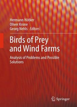 Birds Of Prey And Wind Farms: Analysis Of Problems And Possible Solutions