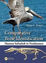 Comparative Bone Identification: Human Subadult To Nonhuman