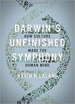 Darwin's Unfinished Symphony: How Culture Made The Human Mind