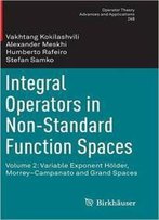 Integral Operators In Non-Standard Function Spaces: Volume 2