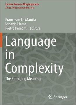 Language In Complexity: The Emerging Meaning