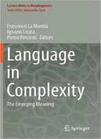 Language In Complexity: The Emerging Meaning