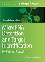 Microrna Detection And Target Identification: Methods And Protocols
