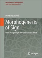 Morphogenesis Of The Sign