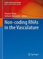 Non-Coding Rnas In The Vasculature