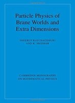 Particle Physics Of Brane Worlds And Extra Dimensions