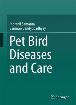 Pet Bird Diseases And Care