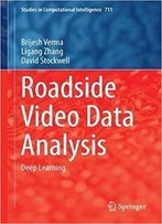 Roadside Video Data Analysis: Deep Learning