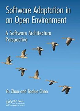 Software Adaptation In An Open Environment: A Software Architecture Perspective