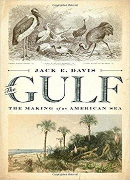 The Gulf The Making Of An American Sea