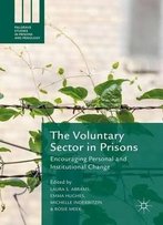 The Voluntary Sector In Prisons: Encouraging Personal And Institutional Change (Palgrave Studies In Prisons And Penology)