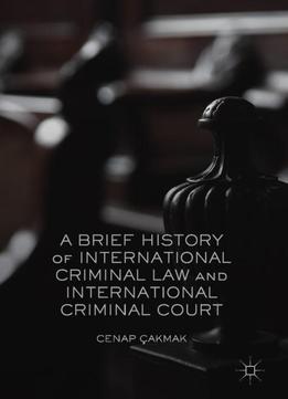 A Brief History Of International Criminal Law And International Criminal Court