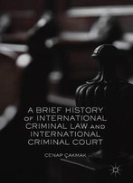 A Brief History Of International Criminal Law And International Criminal Court