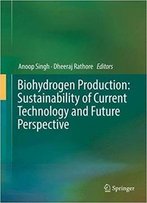 Biohydrogen Production: Sustainability Of Current Technology And Future Perspective