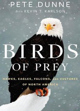 Birds Of Prey: Hawks, Eagles, Falcons, And Vultures Of North America