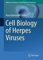 Cell Biology Of Herpes Viruses