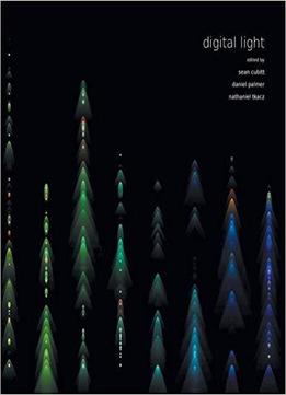 Digital Light (fibreculture Books)
