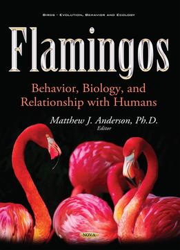 Flamingos: Behavior, Biology, And Relationship With Humans