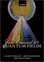 From Classical To Quantum Fields