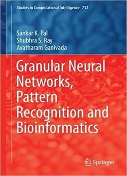 Granular Neural Networks Pattern Recognition And