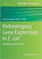 Heterologous Gene Expression In E.Coli: Methods And Protocols