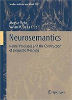 Neurosemantics: Neural Processes And The Construction Of Linguistic Meaning