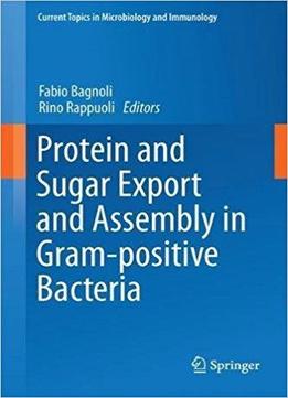 Protein And Sugar Export And Assembly In Gram-positive Bacteria